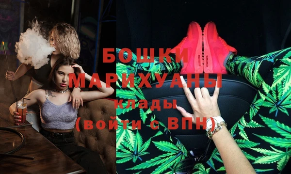 гашик Новокубанск