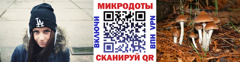 закладка  Моршанск  Галлюциногенные грибы Psilocybe 